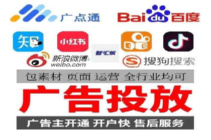某企业SEM广告投放的ROI提升策略及效果展示